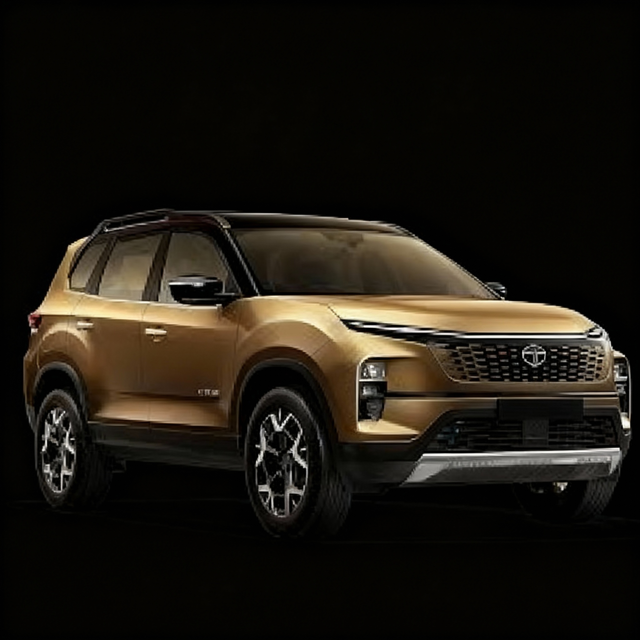 Safari petrol + diesel car